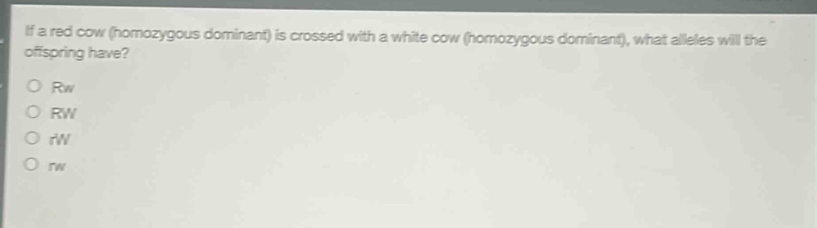 if a red cow (homozygous dominant) is crossed with a white cow (homozygous dominant), what alleles will the offspring have?\no rw\no rw\no rw\no rw