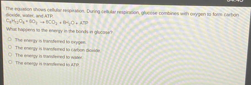the equation shows cellular respiration. during cellular respiration, glucose combines with oxygen to form carbon dioxide, water, and atp. c₆h₁₂o₆ + 6o₂ → 6co₂ + 6h₂o + atp what happens to the energy in the bonds in glucose? the energy is transferred to oxygen. the energy is transferred to carbon dioxide. the energy is transferred to water. the energy is transferred to atp.