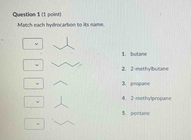 question 1 (1 point)\nmatch each hydrocarbon to its name.\n1. butane\n2. 2 - methylbutane\n3. propane\n4. 2 - methylpropane\n5. pentane