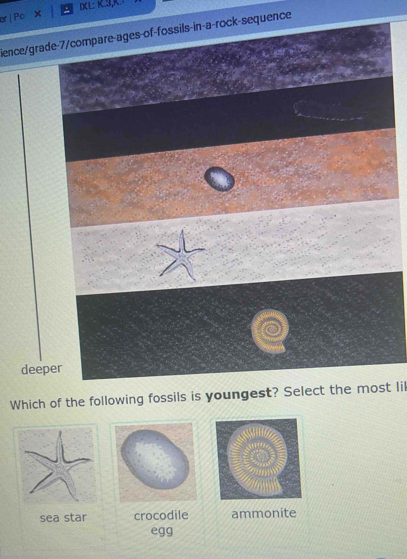 which of the following fossils is youngest? select the most lil sea star crocodile egg ammonite deeper