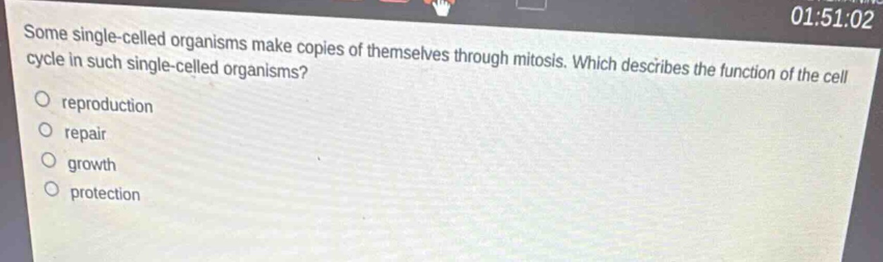 some single - celled organisms make copies of themselves through mitosis. which describes the function of the cell cycle in such single - celled organisms?\nreproduction\nrepair\ngrowth\nprotection