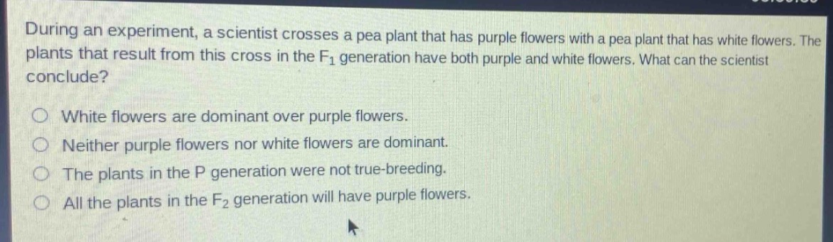 during an experiment, a scientist crosses a pea plant that has purple flowers with a pea plant that has white flowers. the plants that result from this cross in the f1 generation have both purple and white flowers. what can the scientist conclude?\nwhite flowers are dominant over purple flowers.\nneither purple flowers nor white flowers are dominant.\nthe plants in the p generation were not true - breeding.\nall the plants in the f2 generation will have purple flowers.