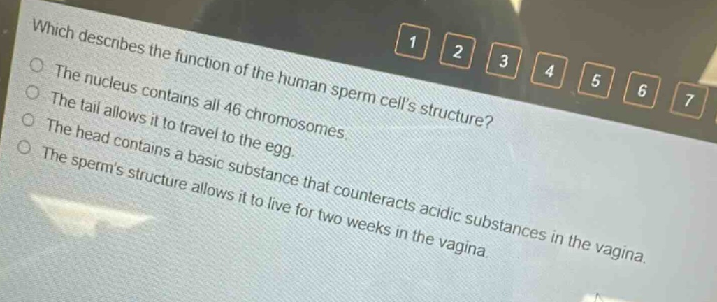 which describes the function of the human sperm cells structure?\nthe nucleus contains all 46 chromosomes.\nthe tail allows it to travel to the egg.\nthe head contains a basic substance that counteracts acidic substances in the vagina.\nthe sperms structure allows it to live for two weeks in the vagina.