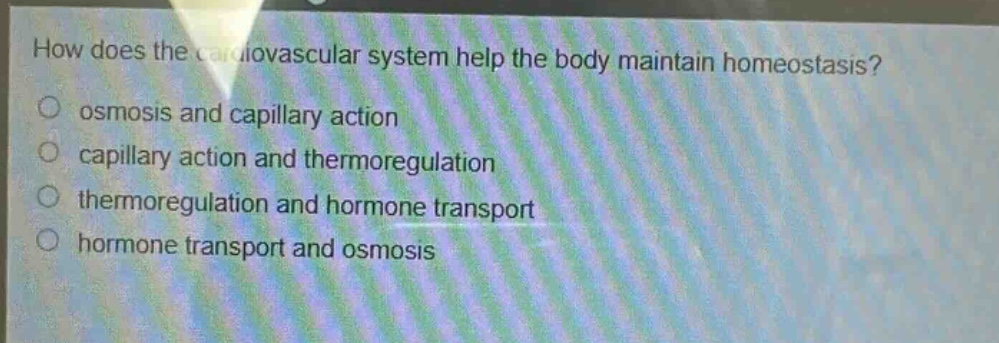how does the cardiovascular system help the body maintain homeostasis?\nosmosis and capillary action\ncapillary action and thermoregulation\nthermoregulation and hormone transport\nhormone transport and osmosis