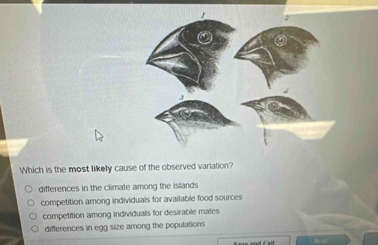 which is the most likely cause of the observed variation?\n○ differences in the climate among the islands\n○ competition among individuals for available food sources\n○ competition among individuals for desirable mates\n○ differences in egg size among the populations