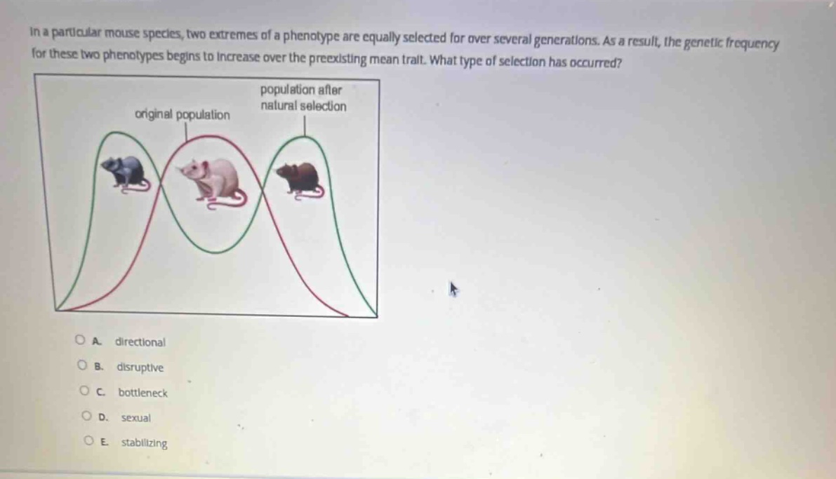in a particular mouse species, two extremes of a phenotype are equally selected for over several generations. as a result, the genetic frequency for these two phenotypes begins to increase over the preexisting mean trait. what type of selection has occurred?\na. directional\nb. disruptive\nc. bottleneck\nd. sexual\ne. stabilizing