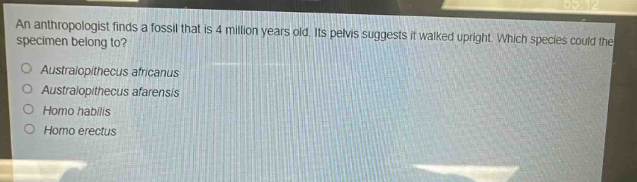 an anthropologist finds a fossil that is 4 million years old. its pelvis suggests it walked upright. which species could the specimen belong to?\no australopithecus africanus\no australopithecus afarensis\no homo habilis\no homo erectus
