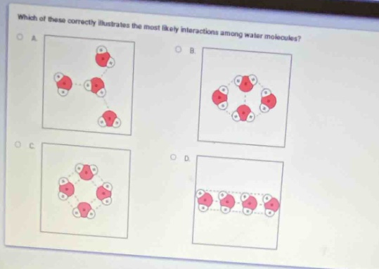 which of these correctly illustrates the most likely interactions among water molecules?\na\nb\nc\nd