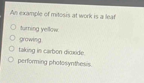 an example of mitosis at work is a leaf\n○ turning yellow.\n○ growing.\n○ taking in carbon dioxide.\n○ performing photosynthesis.