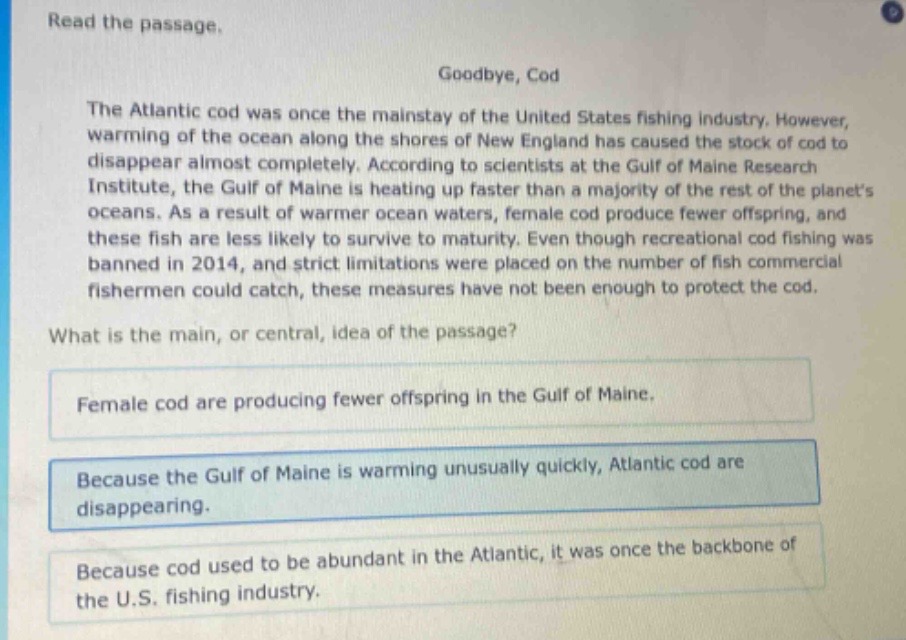 read the passage.\ngoodbye, cod\nthe atlantic cod was once the mainstay of the united states fishing industry. however, warming of the ocean along the shores of new england has caused the stock of cod to disappear almost completely. according to scientists at the gulf of maine research institute, the gulf of maine is heating up faster than a majority of the rest of the planets oceans. as a result of warmer ocean waters, female cod produce fewer offspring, and these fish are less likely to survive to maturity. even though recreational cod fishing was banned in 2014, and strict limitations were placed on the number of fish commercial fishermen could catch, these measures have not been enough to protect the cod.\nwhat is the main, or central, idea of the passage?\nfemale cod are producing fewer offspring in the gulf of maine.\nbecause the gulf of maine is warming unusually quickly, atlantic cod are disappearing.\nbecause cod used to be abundant in the atlantic, it was once the backbone of the u.s. fishing industry.