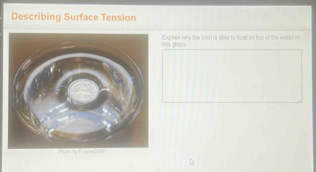 describing surface tension\nexplain why the coin is able to float on top of the water in this glass.
