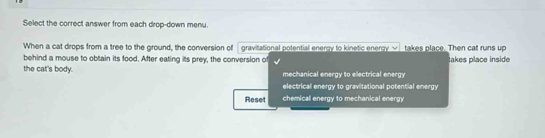 select the correct answer from each drop - down menu. when a cat drops from a tree to the ground, the conversion of gravitational potential energy to kinetic energy takes place. then cat runs up behind a mouse to obtain its food. after eating its prey, the conversion of takes place inside the cats body. mechanical energy to electrical energy electrical energy to gravitational potential energy chemical energy to mechanical energy reset