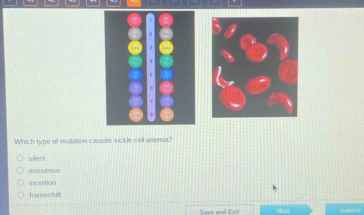 which type of mutation causes sickle cell anemia?\n○ silent\n○ missense\n○ insertion\n○ frameshift