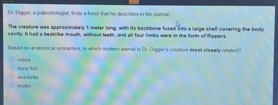 dr. digger, a paleontologist, finds a fossil that he describes in his journal.\nthe creature was approximately 1 meter long, with its backbone fused into a large shell covering the body cavity. it had a beak - like mouth, without teeth, and all four limbs were in the form of flippers.\nbased on anatomical similarities, to which modern animal is dr. diggers creature most closely related?\no zebra\no bony fish\no sea turtle\no snake