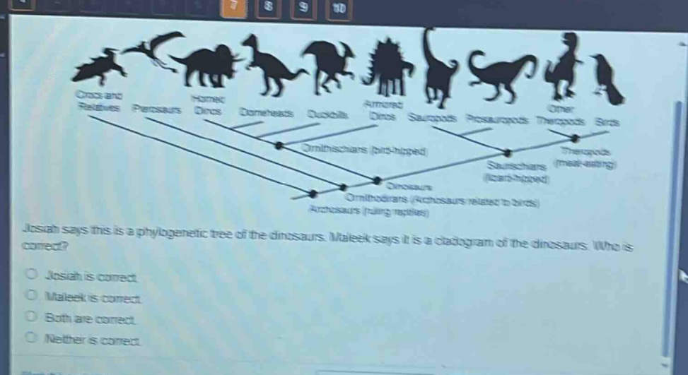josiah says this is a phylogenetic tree of the dinosaurs. maleek says it is a cladogram of the dinosaurs. who is correct?\no josiah is correct.\no maleek is correct.\no both are correct.\no neither is correct.