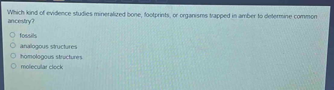 which kind of evidence studies mineralized bone, footprints, or organisms trapped in amber to determine common ancestry?\n○ fossils\n○ analogous structures\n○ homologous structures\n○ molecular clock