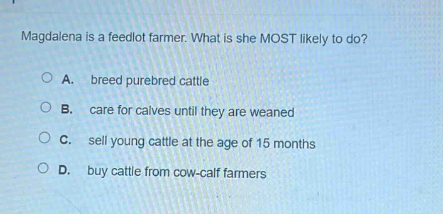 magdalena is a feedlot farmer. what is she most likely to do?\na. breed purebred cattle\nb. care for calves until they are weaned\nc. sell young cattle at the age of 15 months\nd. buy cattle from cow - calf farmers