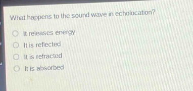 what happens to the sound wave in echolocation?\nit releases energy\nit is reflected\nit is refracted\nit is absorbed