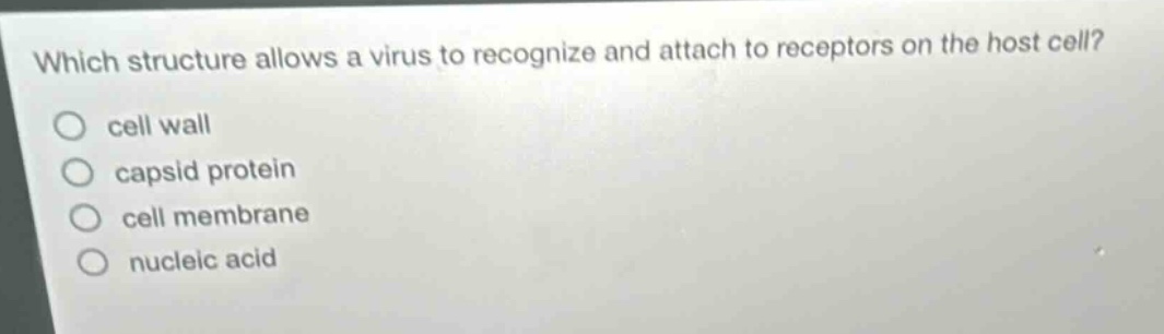 which structure allows a virus to recognize and attach to receptors on the host cell?\ncell wall\ncapsid protein\ncell membrane\nnucleic acid