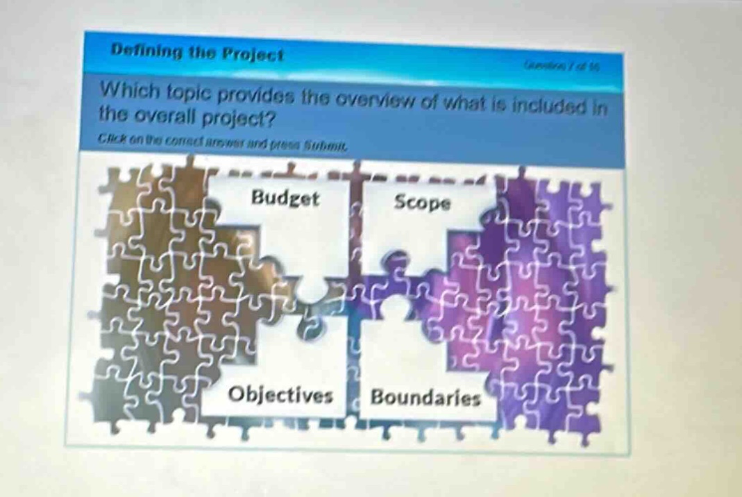 defining the project\nwhich topic provides the overview of what is included in the overall project?\nclick on the correct answer and press submit.\nbudget\nscope\nobjectives\nboundaries