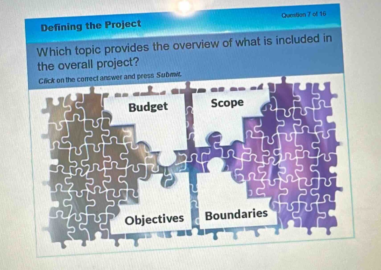 question 7 of 16\ndefining the project\nwhich topic provides the overview of what is included in the overall project?\nclick on the correct answer and press submit.\nbudget\nscope\nobjectives\nboundaries