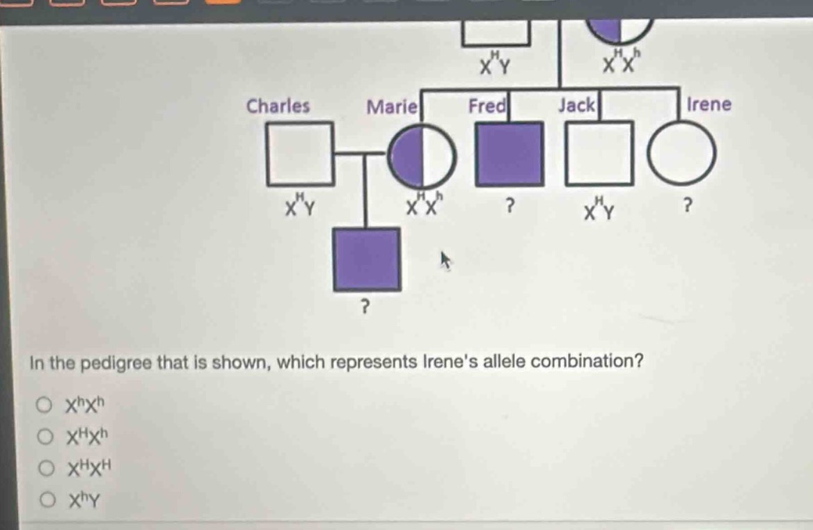 in the pedigree that is shown, which represents irenes allele combination?\n○ $x^{h}x^{h}$\n○ $x^{h}x^{h}$\n○ $x^{h}x^{h}$\n○ $x^{h}y$