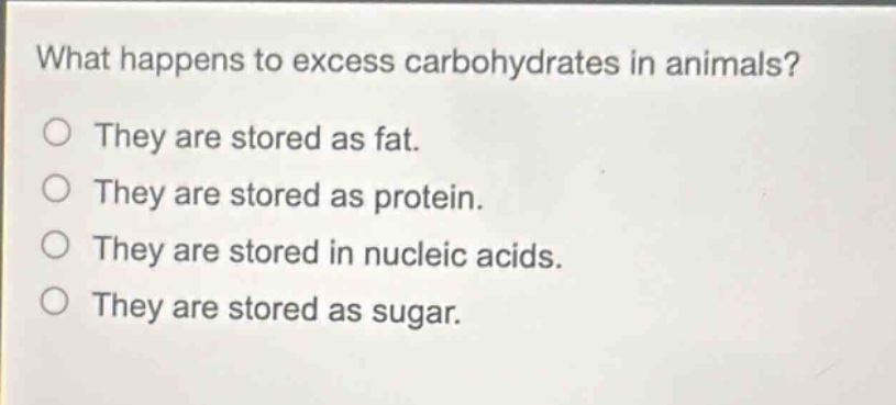 what happens to excess carbohydrates in animals?\nthey are stored as fat.\nthey are stored as protein.\nthey are stored in nucleic acids.\nthey are stored as sugar.