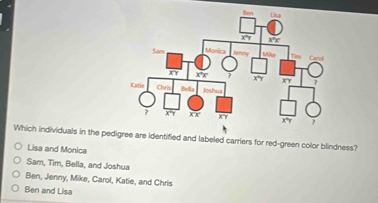 which individuals in the pedigree are identified and labeled carriers for red - green color blindness?\nlisa and monica\nsam, tim, bella, and joshua\nben, jenny, mike, carol, katie, and chris\nben and lisa
