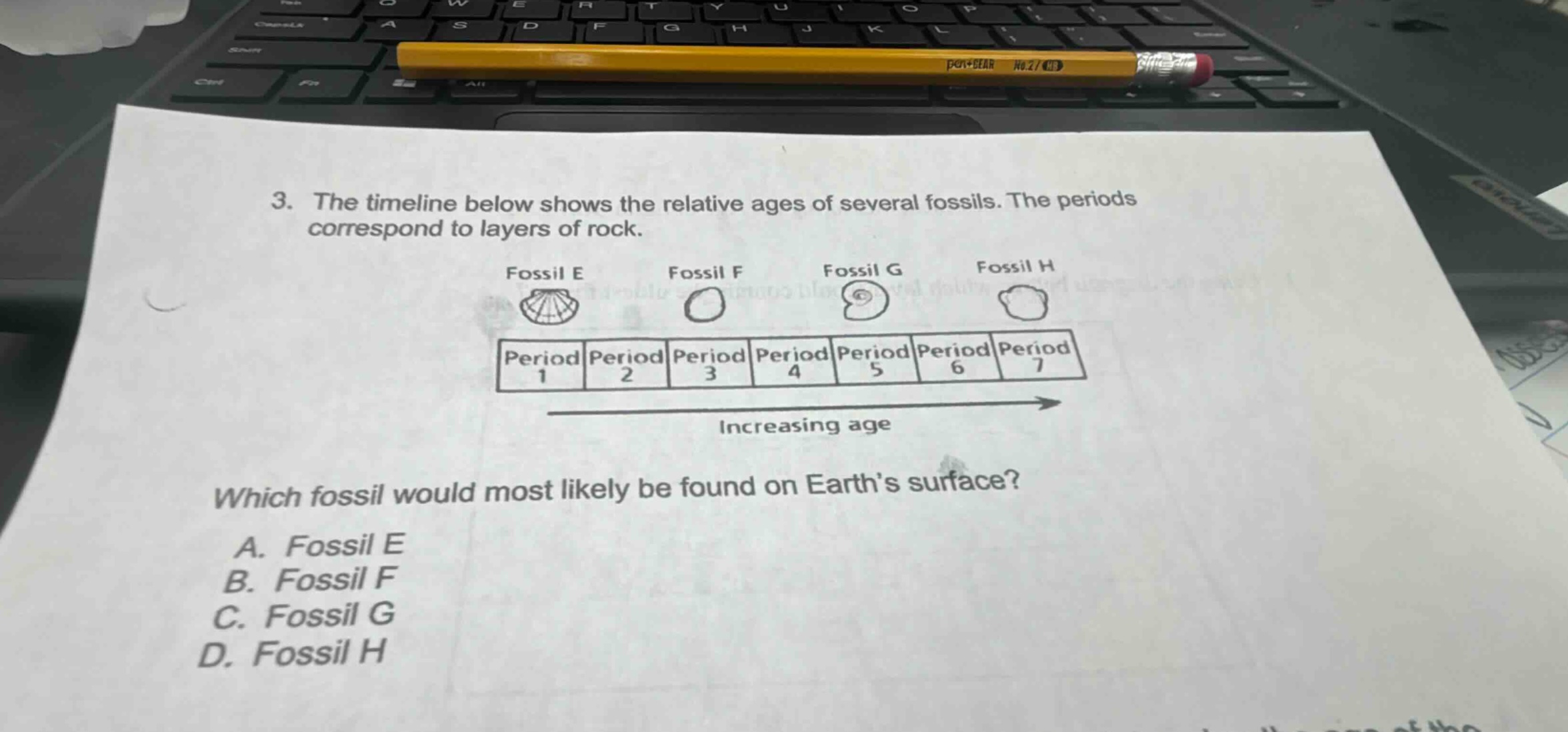 3. the timeline below shows the relative ages of several fossils. the periods correspond to layers of rock. fossil e fossil f fossil g fossil h period 1 period 2 period 3 period 4 period 5 period 6 period 7 increasing age which fossil would most likely be found on earths surface? a. fossil e b. fossil f c. fossil g d. fossil h