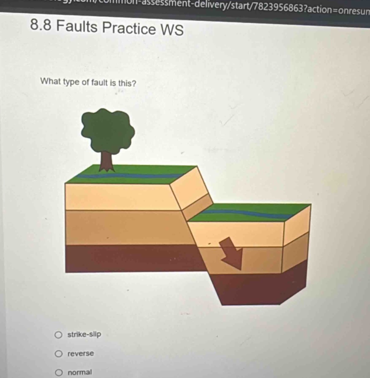 8.8 faults practice ws\nwhat type of fault is this?\nstrike - slip\nreverse\nnormal