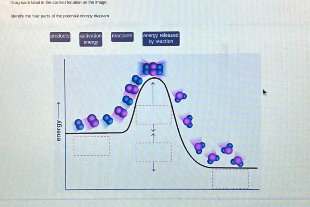 drag each label to the correct location on the image. identify the four parts of the potential energy diagram. products activation energy reactants energy released by reaction