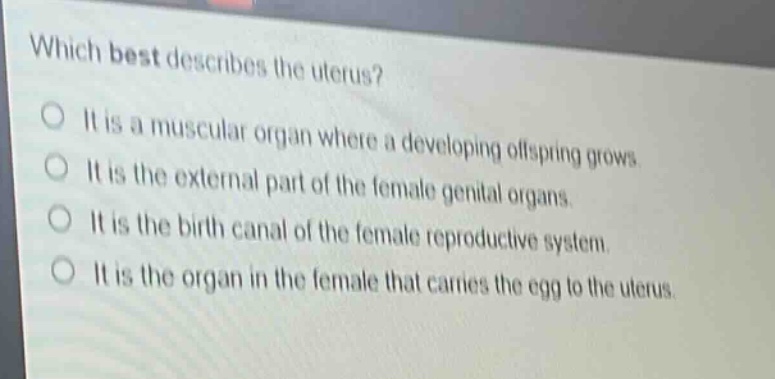 which best describes the uterus?\no it is a muscular organ where a developing offspring grows.\no it is the external part of the female genital organs.\no it is the birth canal of the female reproductive system.\no it is the organ in the female that carries the egg to the uterus.