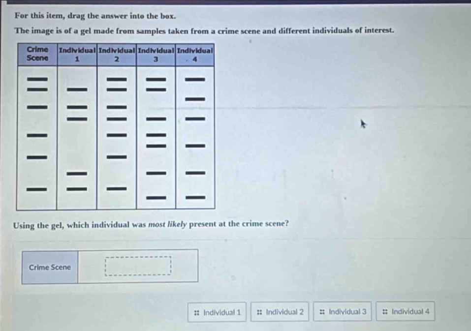 for this item, drag the answer into the box. the image is of a gel made from samples taken from a crime scene and different individuals of interest. using the gel, which individual was most likely present at the crime scene?