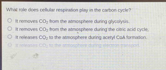 what role does cellular respiration play in the carbon cycle?\no it removes co₂ from the atmosphere during glycolysis.\no it removes co₂ from the atmosphere during the citric acid cycle.\no it releases co₂ to the atmosphere during acetyl coa formation.\no it releases co₂ to the atmosphere during electron transport.
