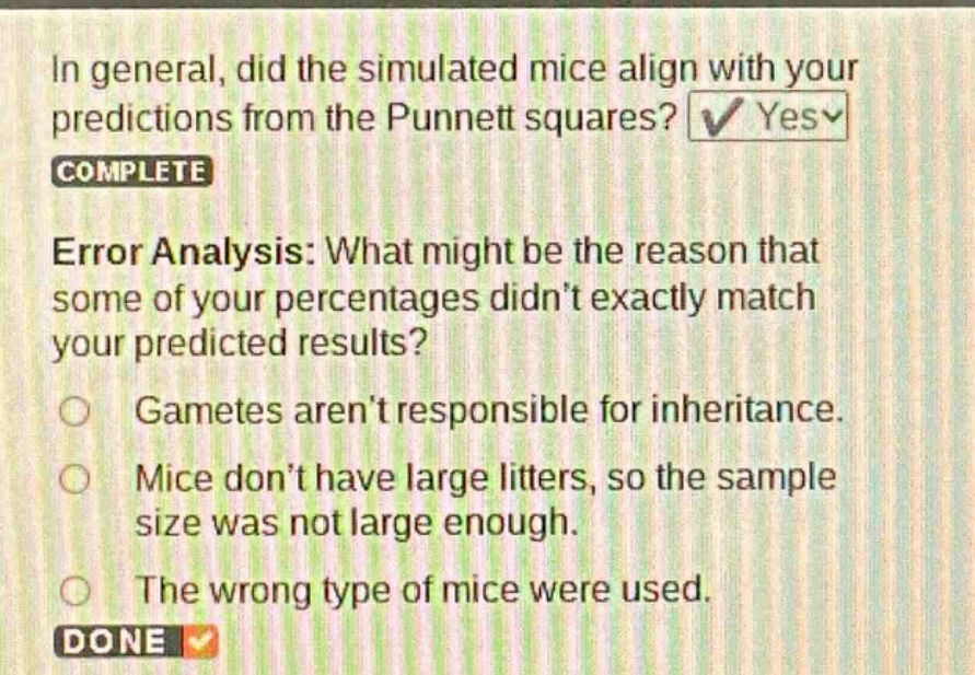 in general, did the simulated mice align with your predictions from the punnett squares? yes\ncomplete\nerror analysis: what might be the reason that some of your percentages didnt exactly match your predicted results?\ngametes arent responsible for inheritance.\nmice dont have large litters, so the sample size was not large enough.\nthe wrong type of mice were used.\ndone