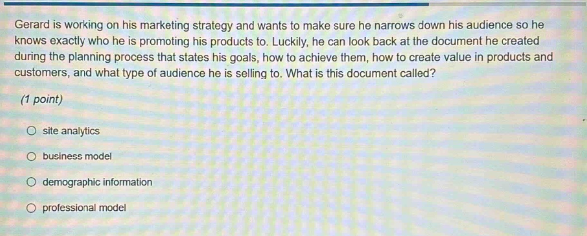 gerard is working on his marketing strategy and wants to make sure he narrows down his audience so he knows exactly who he is promoting his products to. luckily, he can look back at the document he created during the planning process that states his goals, how to achieve them, how to create value in products and customers, and what type of audience he is selling to. what is this document called? (1 point) site analytics business model demographic information professional model