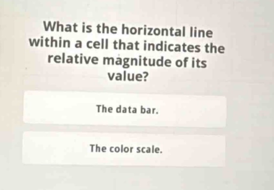 what is the horizontal line within a cell that indicates the relative magnitude of its value?\nthe data bar.\nthe color scale.