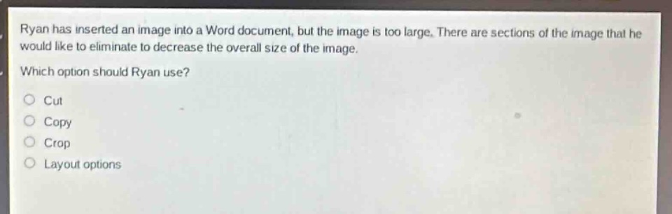 ryan has inserted an image into a word document, but the image is too large. there are sections of the image that he would like to eliminate to decrease the overall size of the image. which option should ryan use? cut copy crop layout options