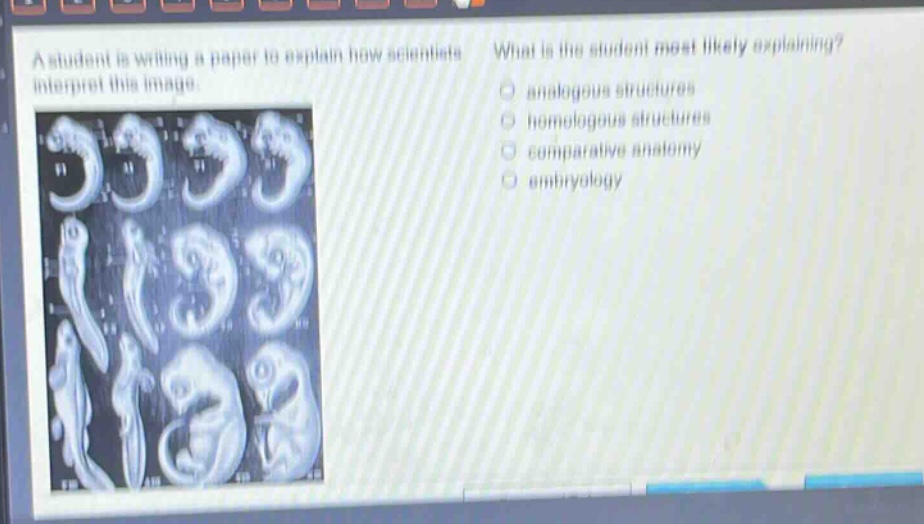 a student is writing a paper to explain how scientists interpret this image. what is the student most likely explaining? analogous structures homologous structures comparative anatomy embryology