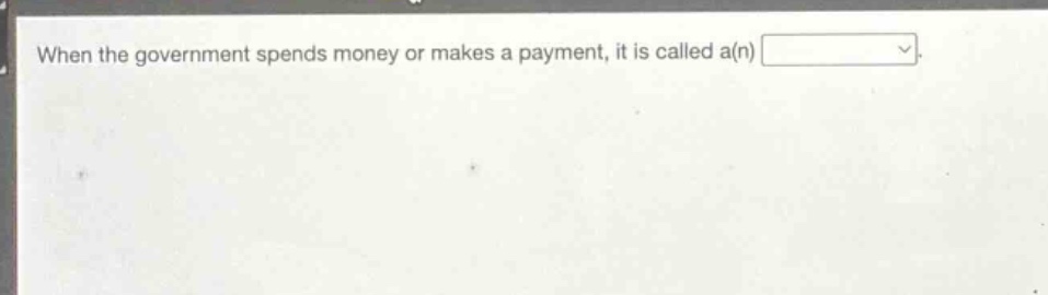 when the government spends money or makes a payment, it is called a(n)