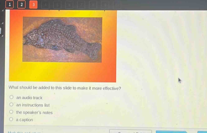 what should be added to this slide to make it more effective?\n○ an audio track\n○ an instructions list\n○ the speakers notes\n○ a caption