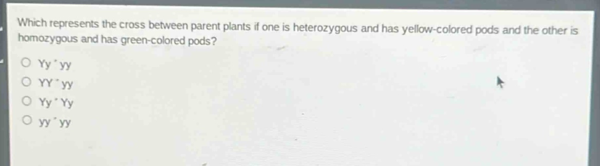 which represents the cross between parent plants if one is heterozygous and has yellow - colored pods and the other is homozygous and has green - colored pods?\no yy * yy\no yy * yy\no yy * yy\no yy * yy