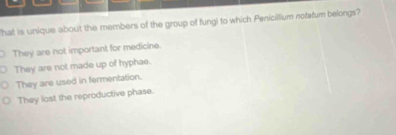 what is unique about the members of the group of fungi to which penicillium notatum belongs?\nthey are not important for medicine.\nthey are not made up of hyphae.\nthey are used in fermentation.\nthey lost the reproductive phase.