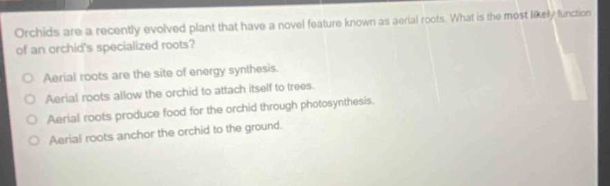 orchids are a recently evolved plant that have a novel feature known as aerial roots. what is the most likely function of an orchids specialized roots?\naerial roots are the site of energy synthesis.\naerial roots allow the orchid to attach itself to trees.\naerial roots produce food for the orchid through photosynthesis.\naerial roots anchor the orchid to the ground.