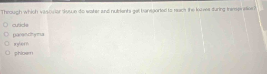 through which vascular tissue do water and nutrients get transported to reach the leaves during transpiration?\no cuticle\no parenchyma\no xylem\no phloem