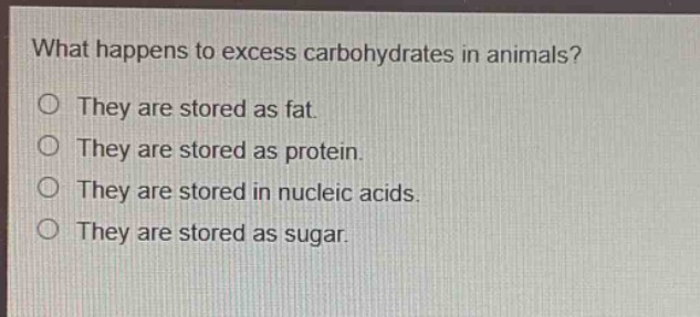 what happens to excess carbohydrates in animals?\no they are stored as fat.\no they are stored as protein.\no they are stored in nucleic acids.\no they are stored as sugar.