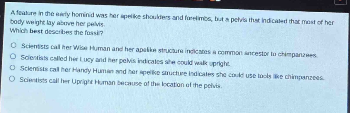 a feature in the early hominid was her apelike shoulders and forelimbs, but a pelvis that indicated that most of her body weight lay above her pelvis. which best describes the fossil? scientists call her wise human and her apelike structure indicates a common ancestor to chimpanzees. scientists called her lucy and her pelvis indicates she could walk upright. scientists call her handy human and her apelike structure indicates she could use tools like chimpanzees. scientists call her upright human because of the location of the pelvis.