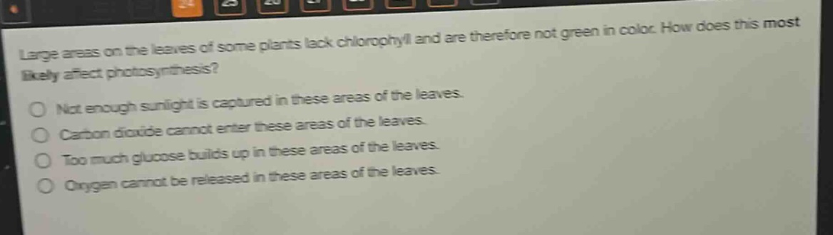 large areas on the leaves of some plants lack chlorophyll and are therefore not green in color. how does this most likely affect photosynthesis?\nnot enough sunlight is captured in these areas of the leaves.\ncarbon dioxide cannot enter these areas of the leaves.\ntoo much glucose builds up in these areas of the leaves.\noxygen cannot be released in these areas of the leaves.