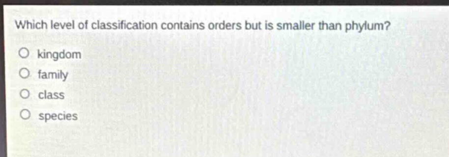 which level of classification contains orders but is smaller than phylum?\no kingdom\no family\no class\no species