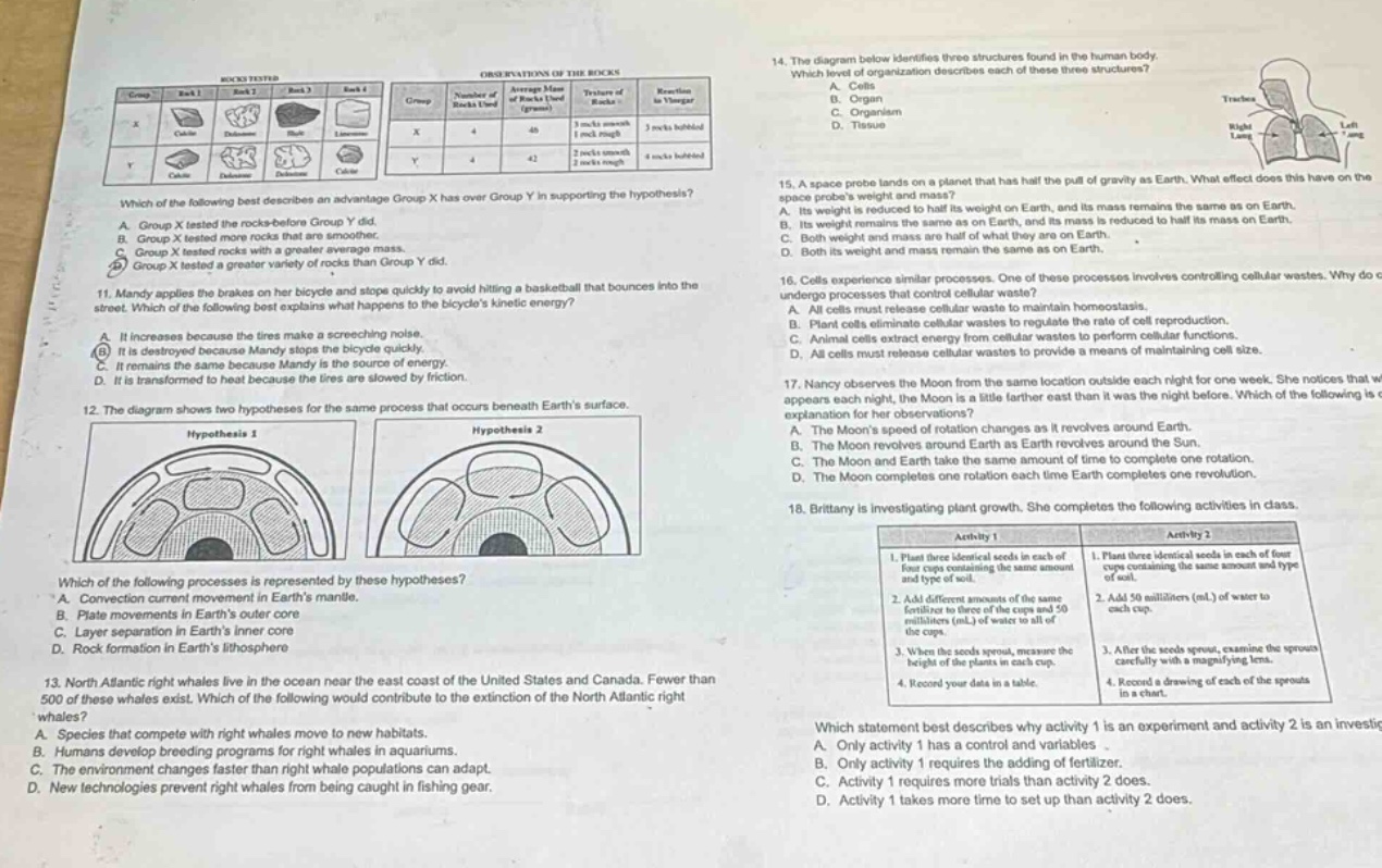 10. the diagram below identifies three structures found in the human body. which level of organization describes each of these three structures? a. cells b. organ c. organism d. tissue\n11. mandy applies the brakes on her bicycle and stops quickly to avoid hitting a basketball that bounces into the street. which of the following best explains what happens to the bicycles kinetic energy? a. it increases because the tires make a screeching noise. b. it is destroyed because mandy stops the bicycle quickly. c. it remains the same because mandy is the source of energy. d. it is transformed to heat because the tires are slowed by friction.\n12. the diagram shows two hypotheses for the same process that occurs beneath earths surface. which of the following processes is represented by these hypotheses? a. convection current movement in earths mantle. b. plate movements in earths outer core. c. layer separation in earths inner core. d. rock formation in earths lithosphere.\n13. north atlantic right whales live in the ocean near the east coast of the united states and canada. fewer than 500 of these whales exist. which of the following would contribute to the extinction of the north atlantic right whales? a. species that compete with right whales move to new habitats. b. humans develop breeding programs for right whales in aquariums. c. the environment changes faster than right whale populations can adapt. d. new technologies prevent right whales from being caught in fishing gear.\n14. the diagram below identifies three structures found in the human body. which level of organization describes each of these three structures? a. cells b. organ c. organism d. tissue\n15. a space probe lands on a planet that has half the pull of gravity as earth. what effect does this have on the space probes weight and mass? a. its weight is reduced to half its weight on earth, and its mass remains the same as on earth. b. its weight remains the same as on earth, and its mass is reduced to half its mass on earth. c. both weight and mass are half of what they are on earth. d. both its weight and mass remain the same as on earth.\n16. cells experience similar processes. one of these processes involves controlling cellular wastes. why do cells undergo processes that control cellular waste? a. all cells must release cellular waste to maintain homeostasis. b. plant cells eliminate cellular waste to regulate activity of cell reproduction. c. animal cells must release energy from cellular wastes to perform cellular functions. d. all cells must release cellular waste to provide a means of maintaining cell size.\n17. nancy observes the moon from the same location outside each night for one week. she notices that it appears each night, the moon is a little farther east than it was the night before. which of the following is an explanation for her observations? a. the moons speed of rotation changes as it revolves around earth. b. the moon revolves around earth as earth revolves around the sun. c. the moon and earth take the same amount of time to complete one rotation. d. the moon completes one rotation around earth each time earth completes one rotation.\n18. brittany is investigating plant growth. she completes the following activities in class. activity 1: 1. plant three identical seeds in each of four cups containing the same amount and type of soil. 2. add different amounts of the same fertilizer to three of the cups and 50 milliliters (ml) of water to all of the cups. 3. when the seeds sprout, measure the height of the plants in each cup. 4. record your data in a table. activity 2: 1. plant three identical seeds in each of four cups containing the same amount and type of soil. 2. add 50 milliliters (ml) of water to each cup. 3. after the seeds sprout, examine the sprouts carefully with a magnifying lens. 4. record a drawing of each of the sprouts in a chart. which statement best describes why activity 1 is an experiment and activity 2 is an investigation? a. only activity 1 has a control and variables. b. only activity 1 requires the adding of fertilizer. c. activity 1 requires more trials than activity 2 does. d. activity 1 takes more time to set up than activity 2 does.